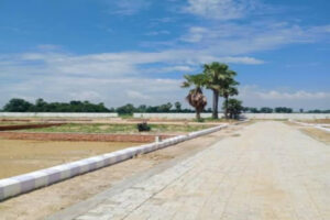 proj img 51022 95378 1 770x400